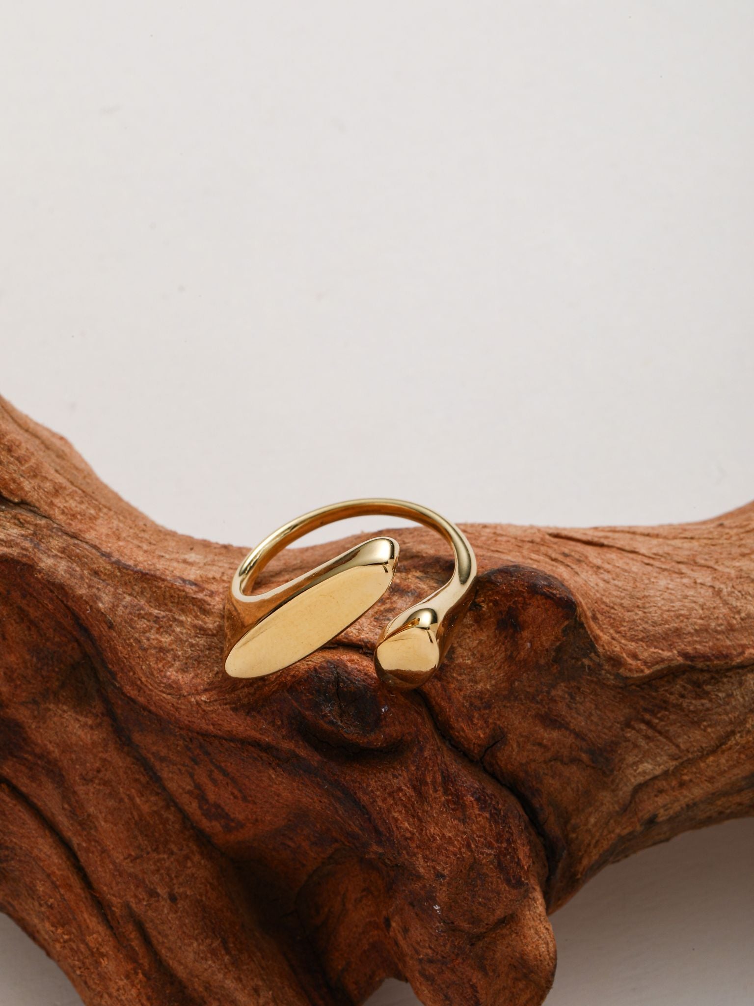 Anello forma geometrica